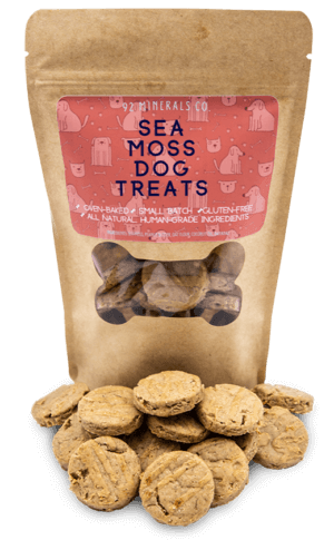 Bag of sea moss dog treats